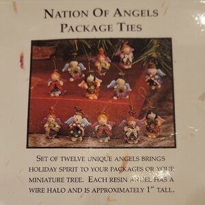 New Angel Package Ties/ Ornaments